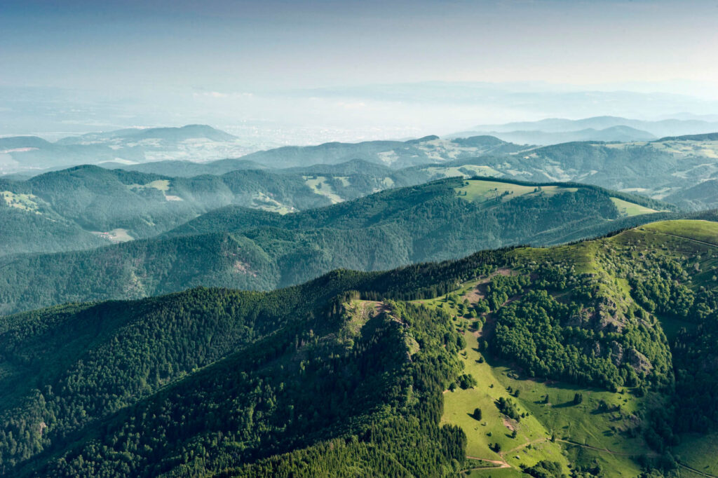 Blick über den Schwarzwald