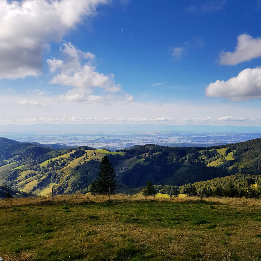 Blick über die Rheinebene bis zu den Vogesen